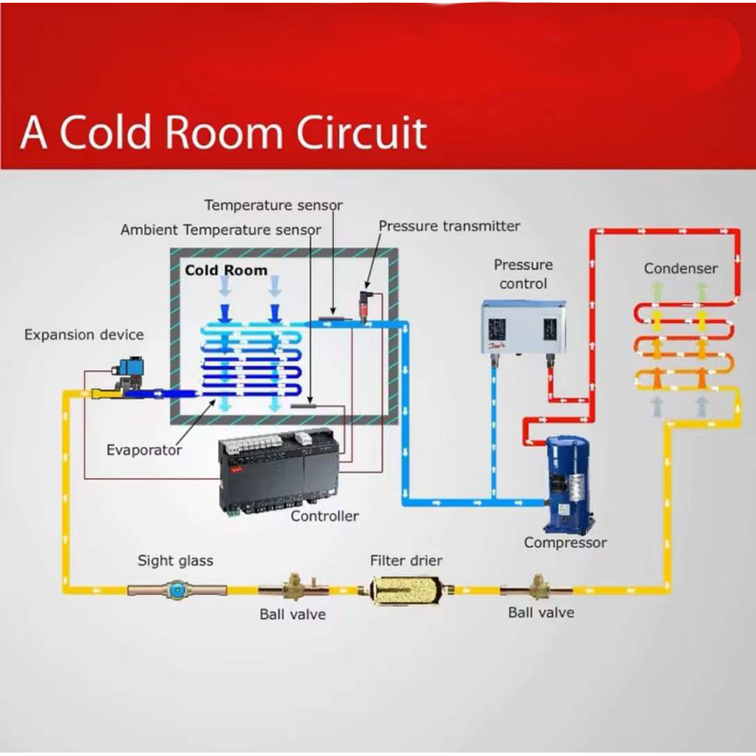 cold room circuit.jpg